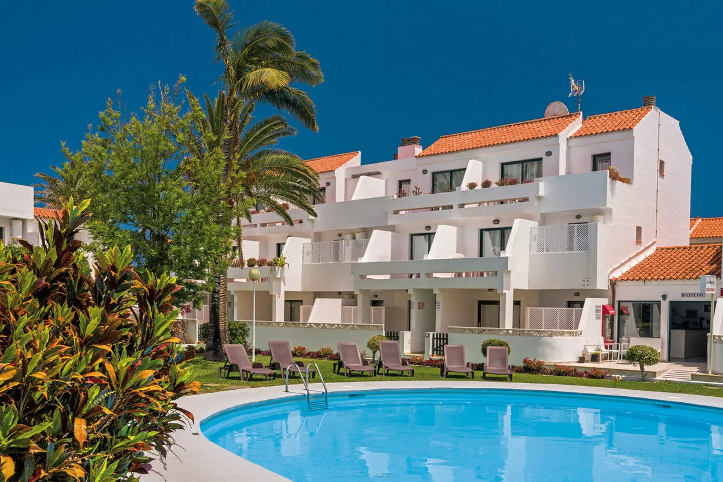 Los Rosales OUTDOOR_POOL