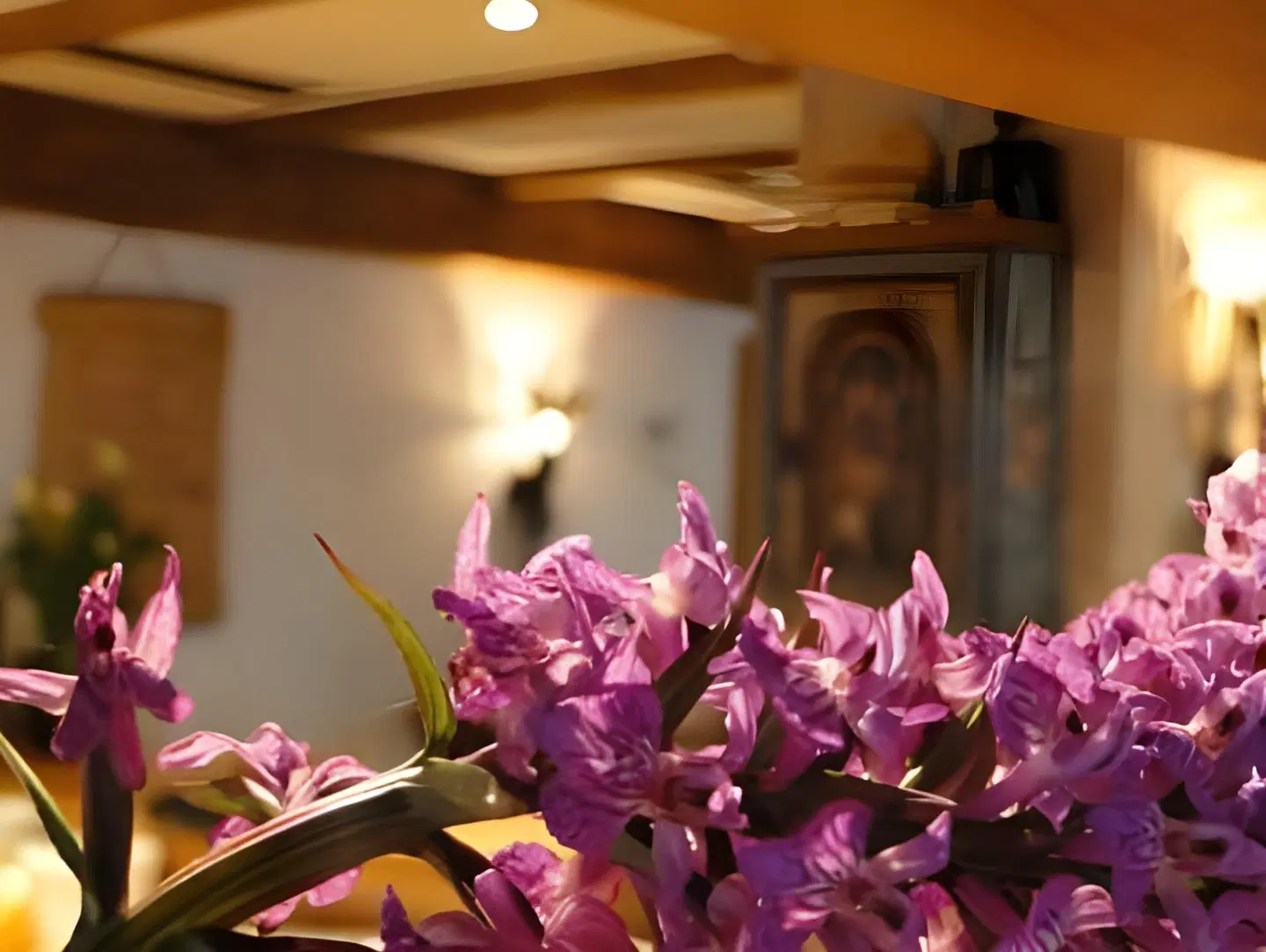 Haus Heiners LANDSCAPE