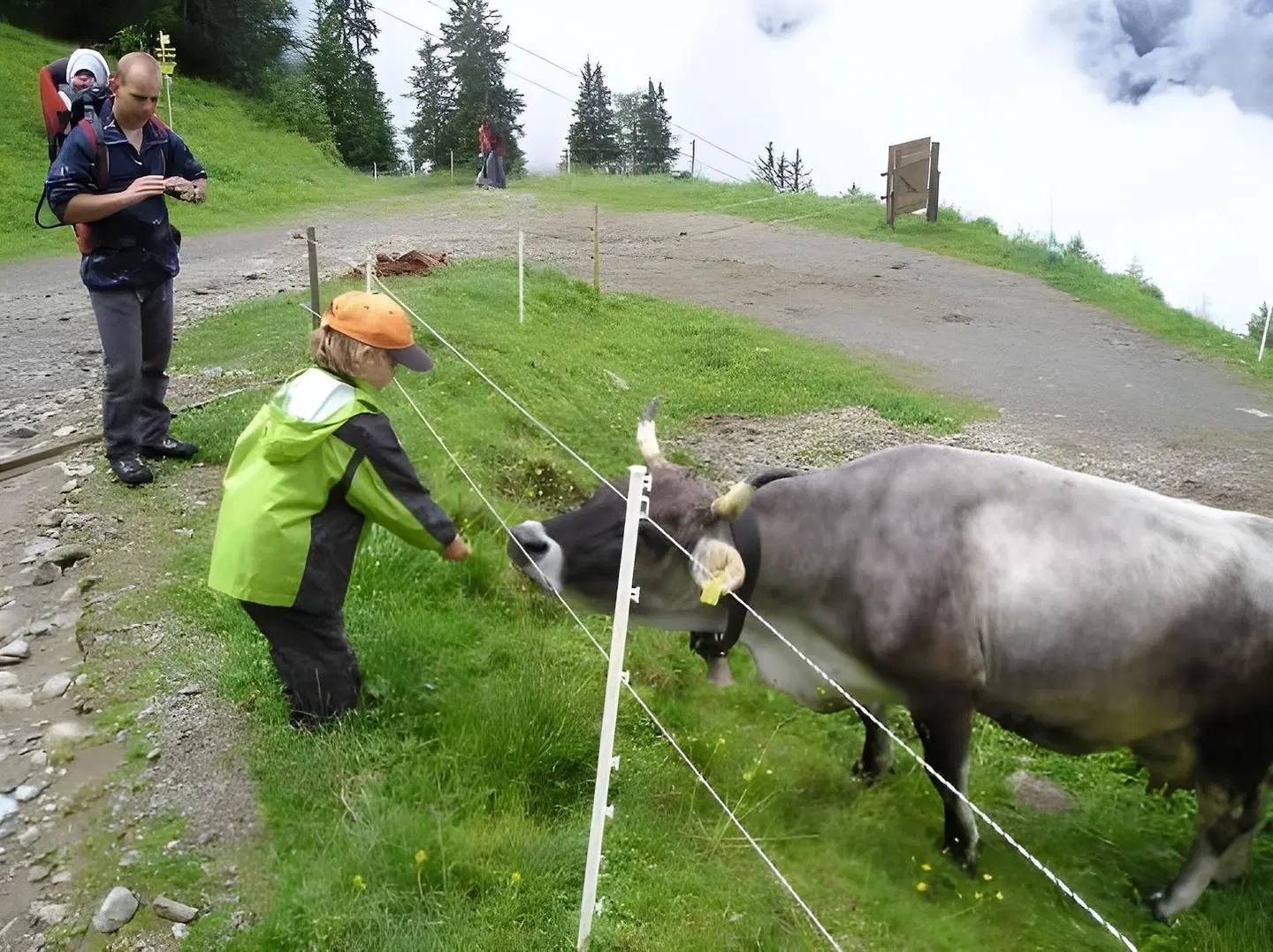Berggasthof Hochzeigerhaus Tiere