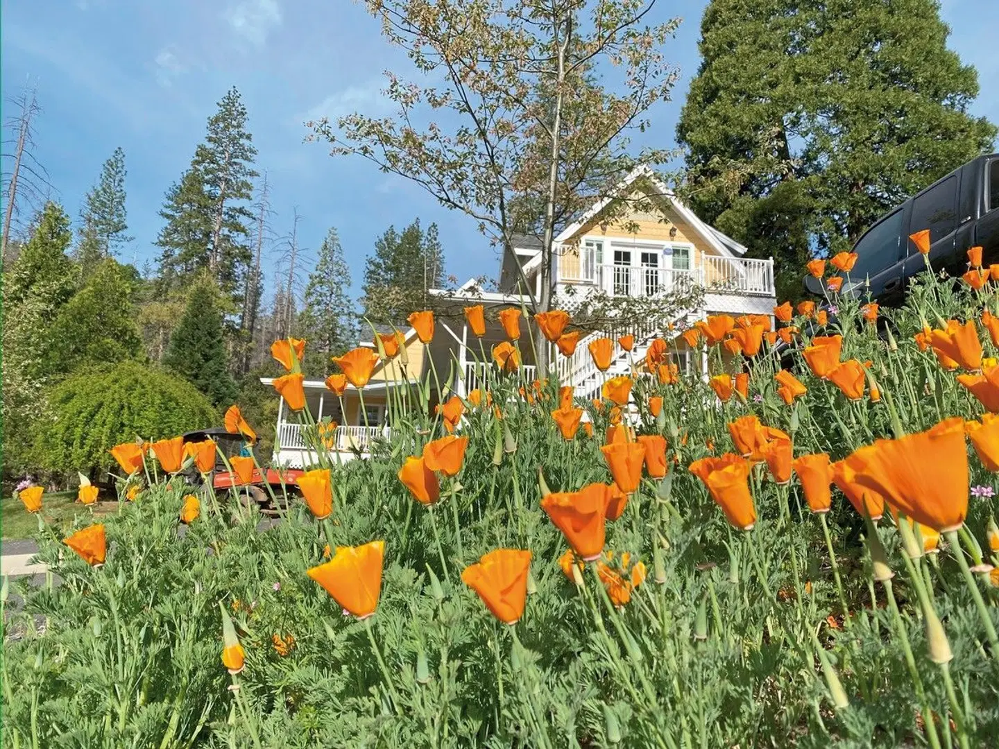 Blackberry Inn Yosemite Groveland Garten