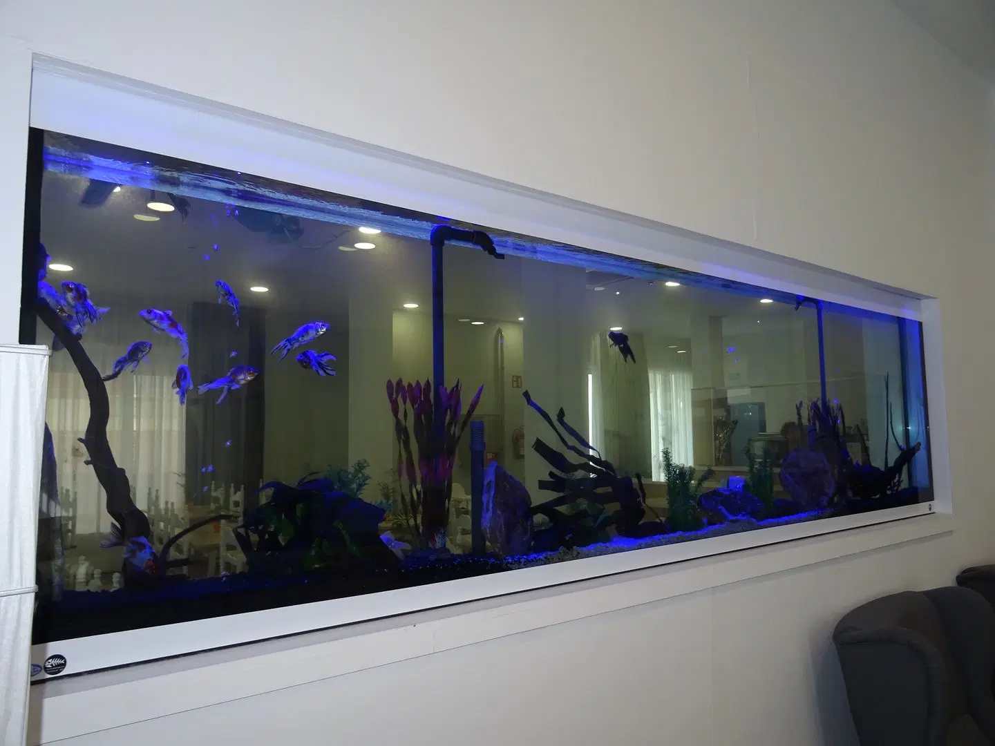 Hotel Victoria LOUNGE_LOBBY