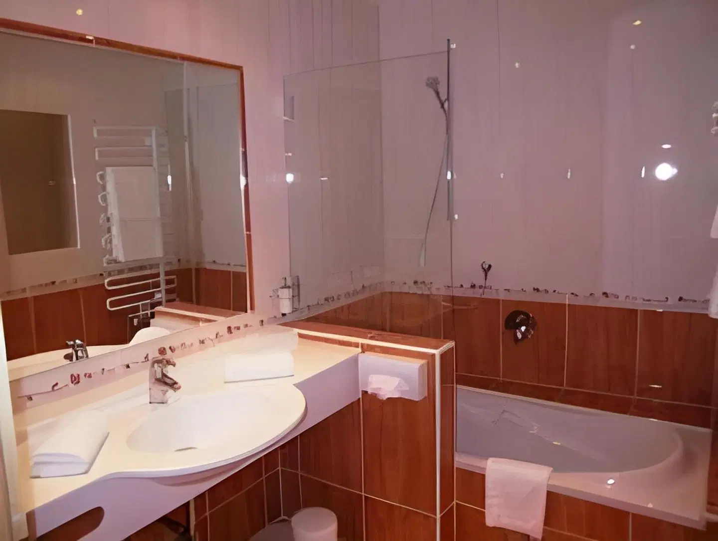 Alpenpanorama Badezimmer