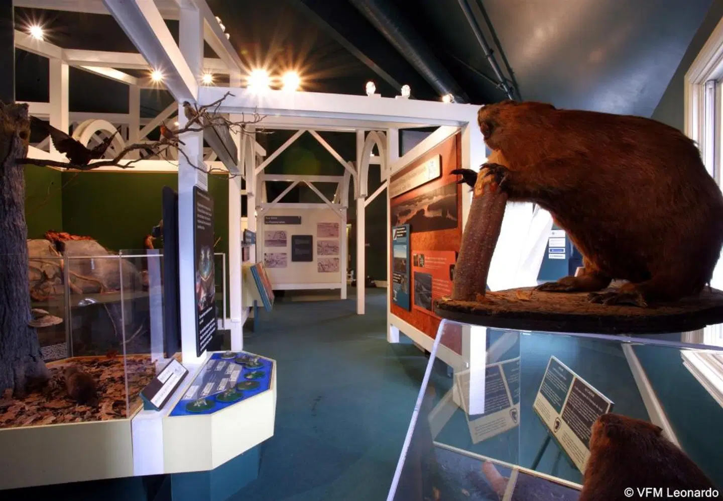 Holiday Inn Express & Suites 1000 Islands - Gananoque SPORTS_AND_LEISURE