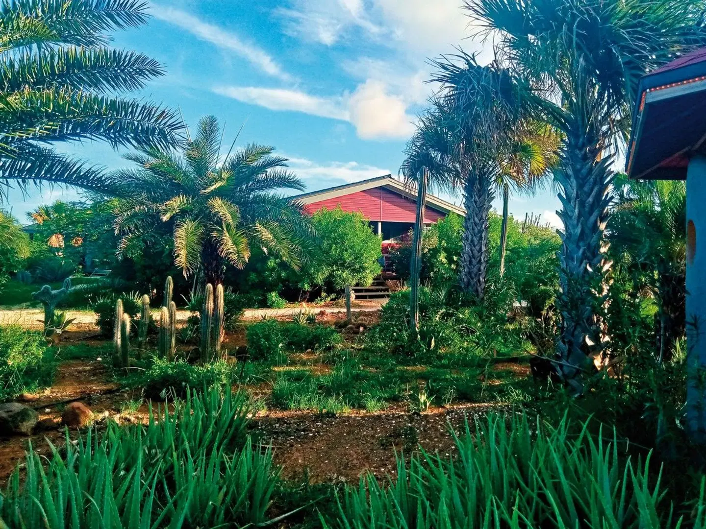Red Palm Village Garten
