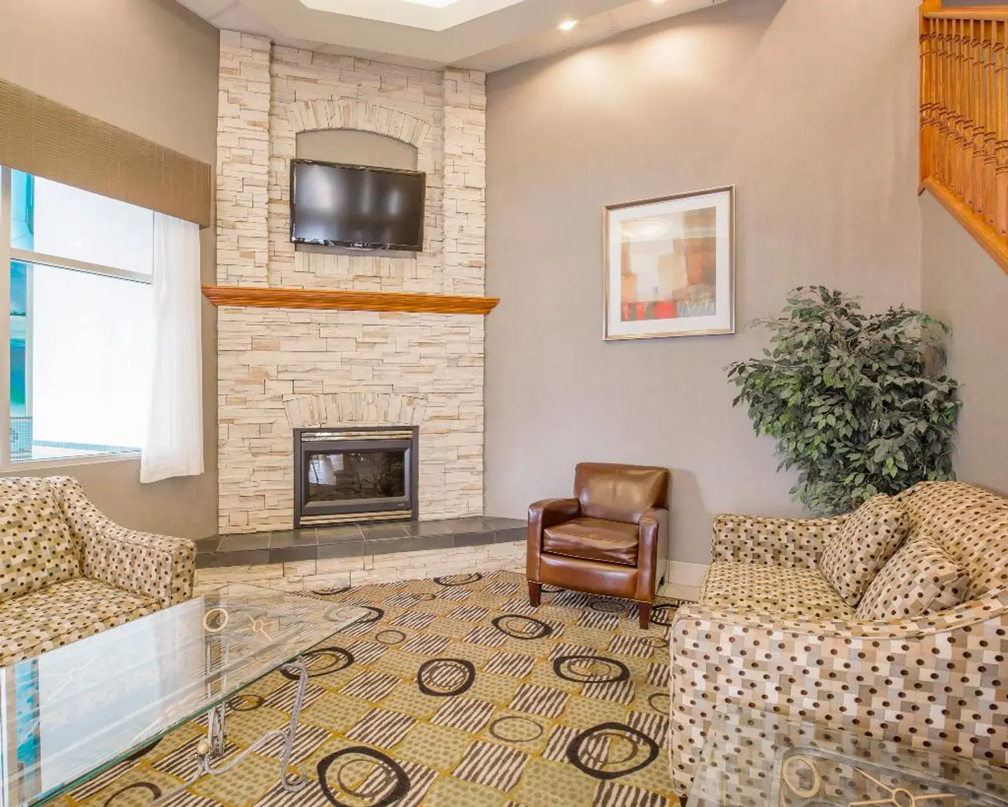 Comfort Inn & Suites South ROOM_EXAMPLE