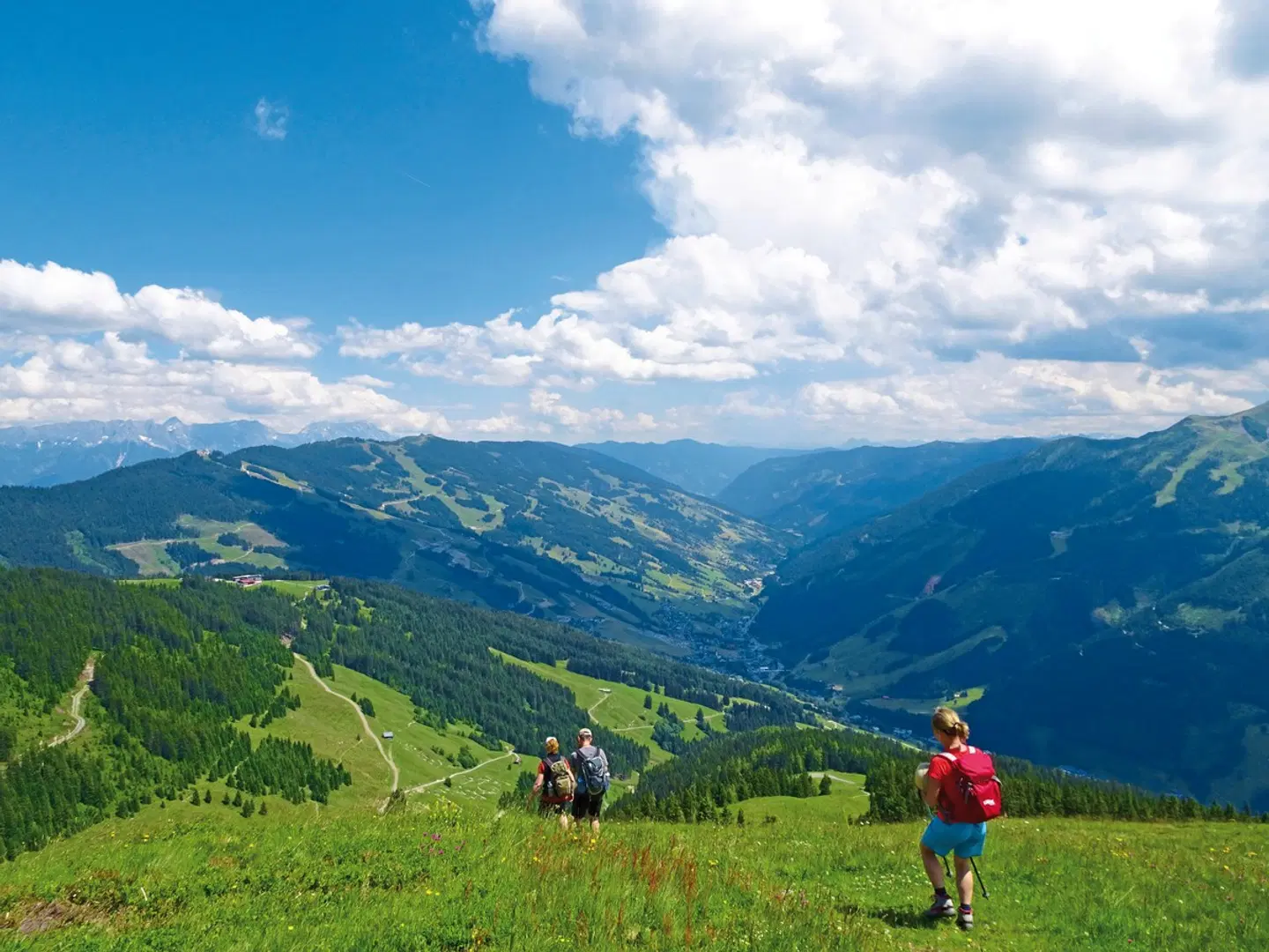 Das Neuhaus LANDSCAPE
