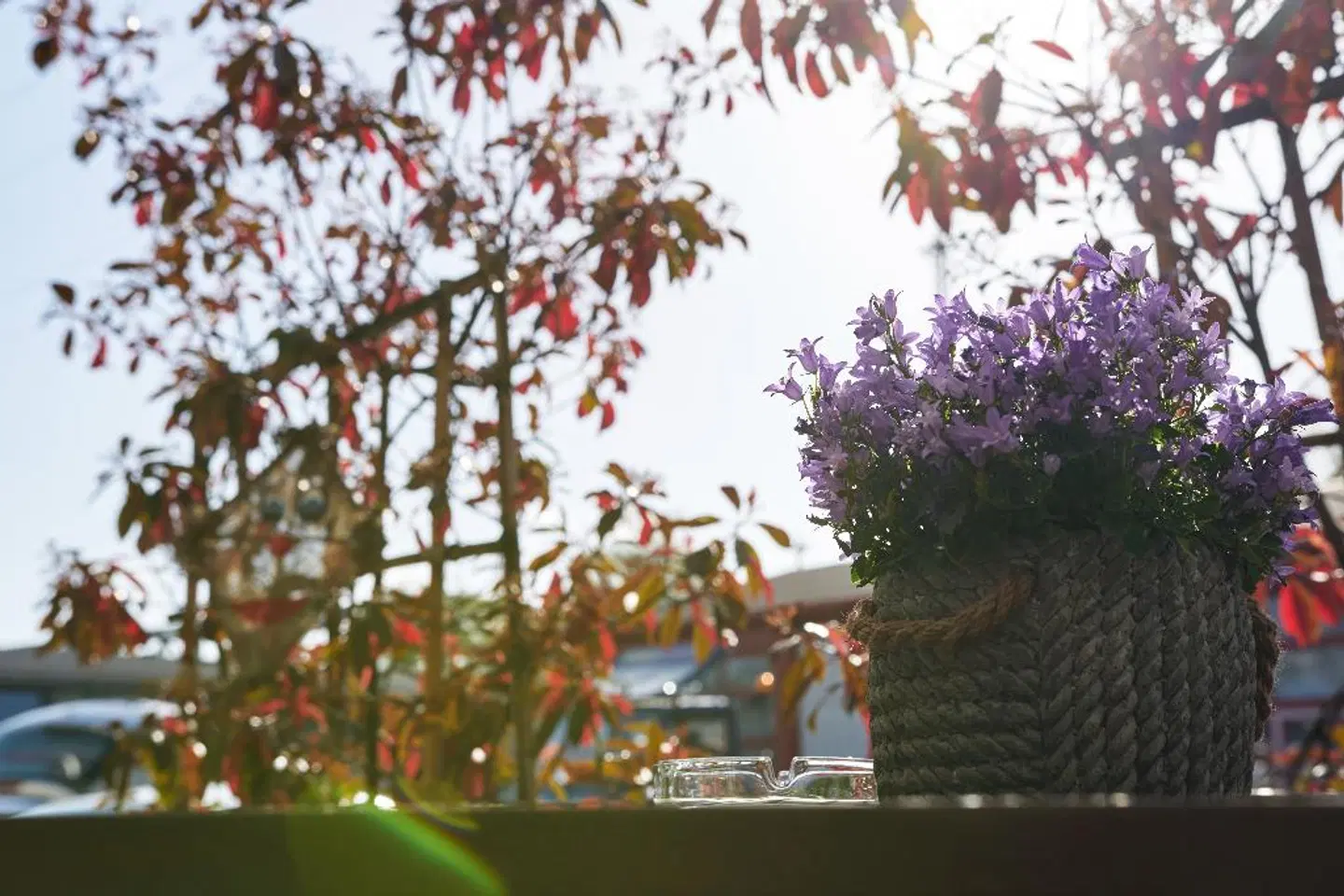 Zum Eisenhammer LANDSCAPE