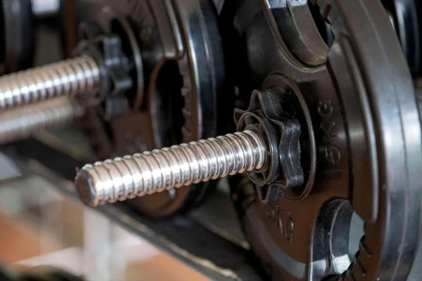 Best Western Premier Airporthotel Fontane Berlin Tiere