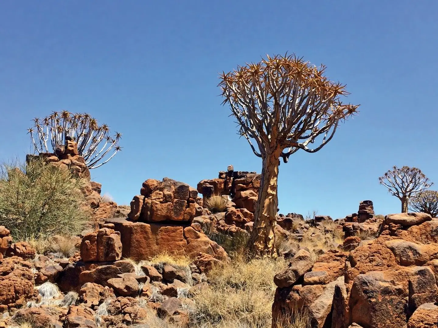 Traumreise Namibia LANDSCAPE
