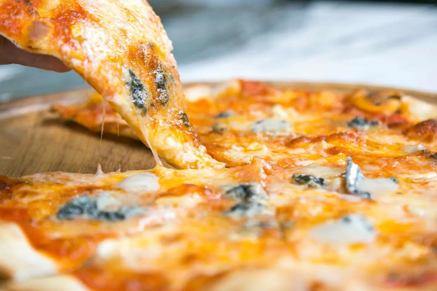 Hilton Sukhumvit Bangkok Tiere