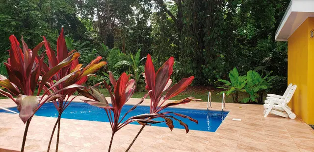 Ciudad Perdida Ecolodge OUTDOOR_POOL