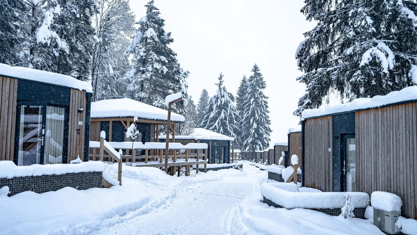 EuroParcs Pressegger See OUTDOOR_POOL