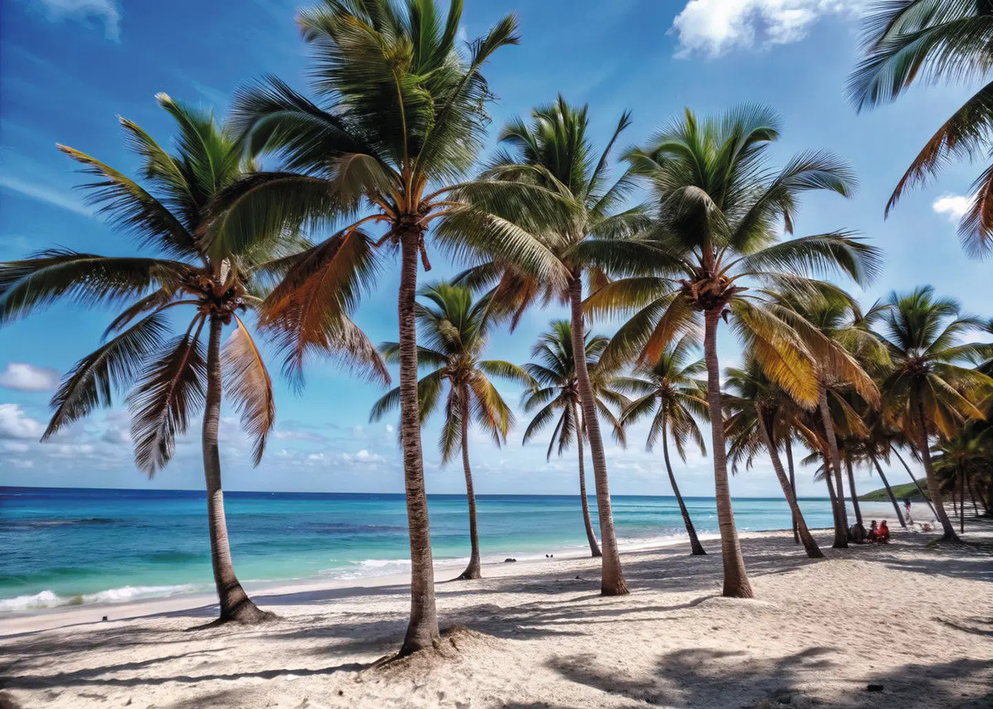 Costa Rica Rundreise & Baden Strand