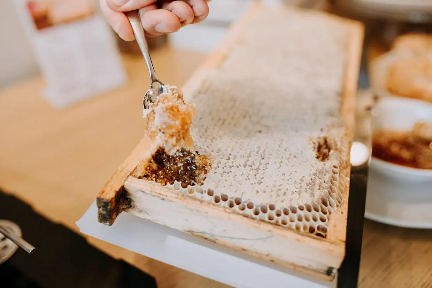 Hotel Villa Patriarca HEALTH_BEAUTY