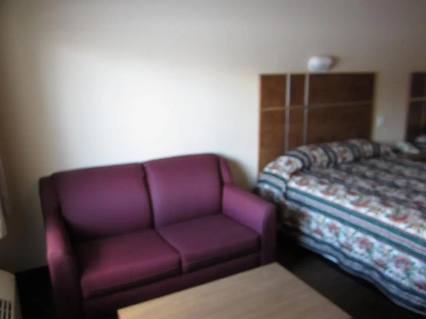 Quality Inn & Suites Clearwater ROOM_EXAMPLE