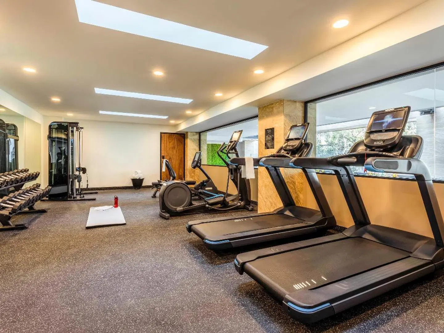 Novotel México City Centro Histórico SPORTS_AND_LEISURE