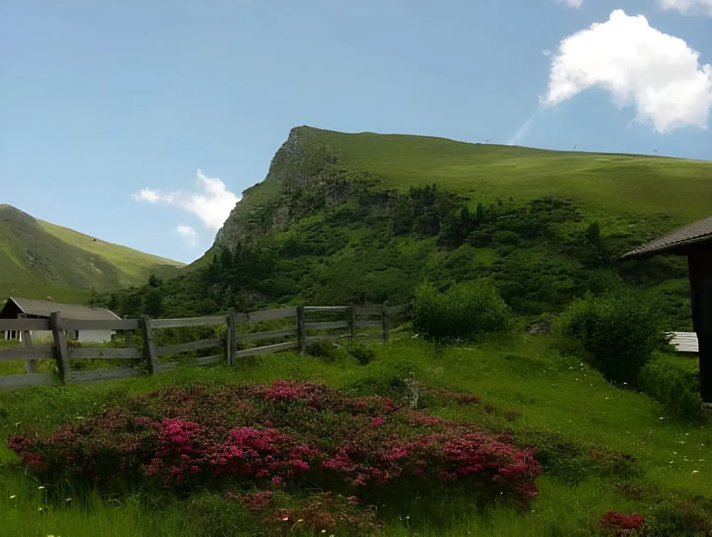 Heidi-Hotel Falkertsee LANDSCAPE