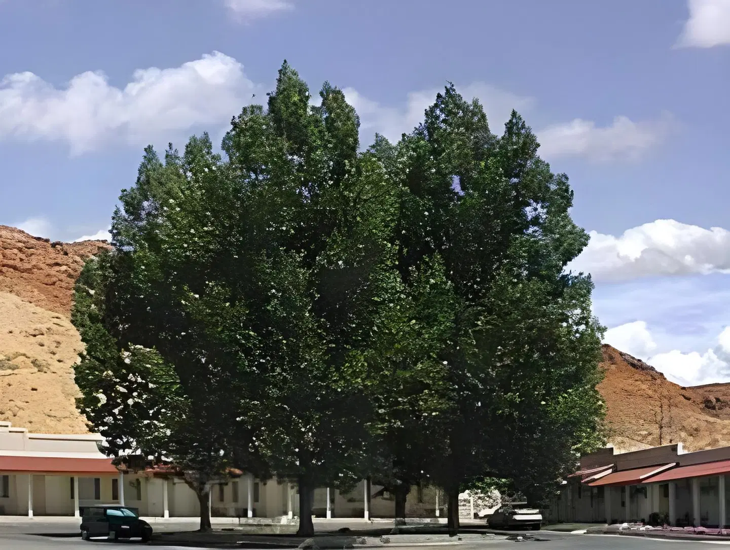 Adventure Inn Moab Terrasse