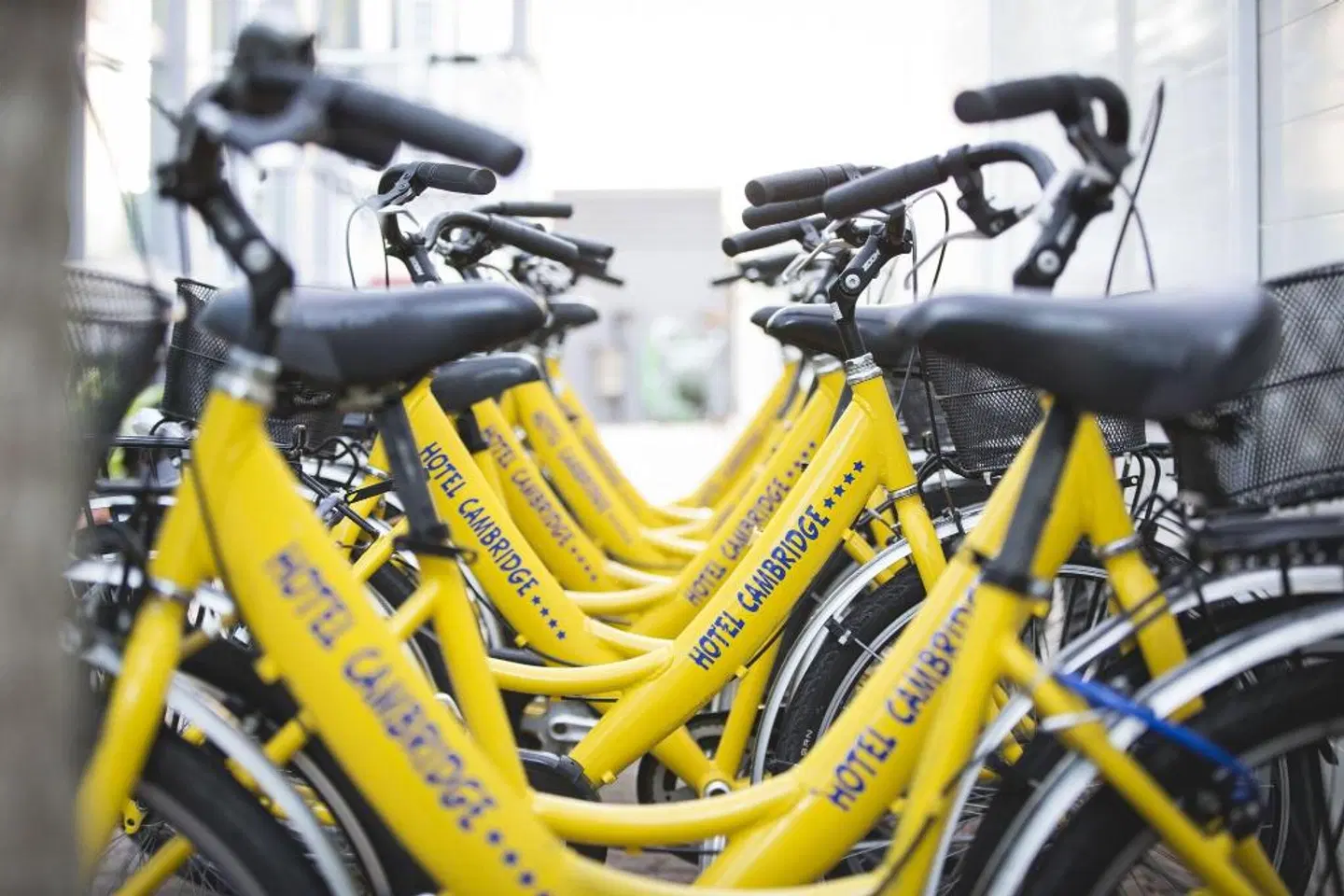 Cambridge SPORTS_AND_LEISURE