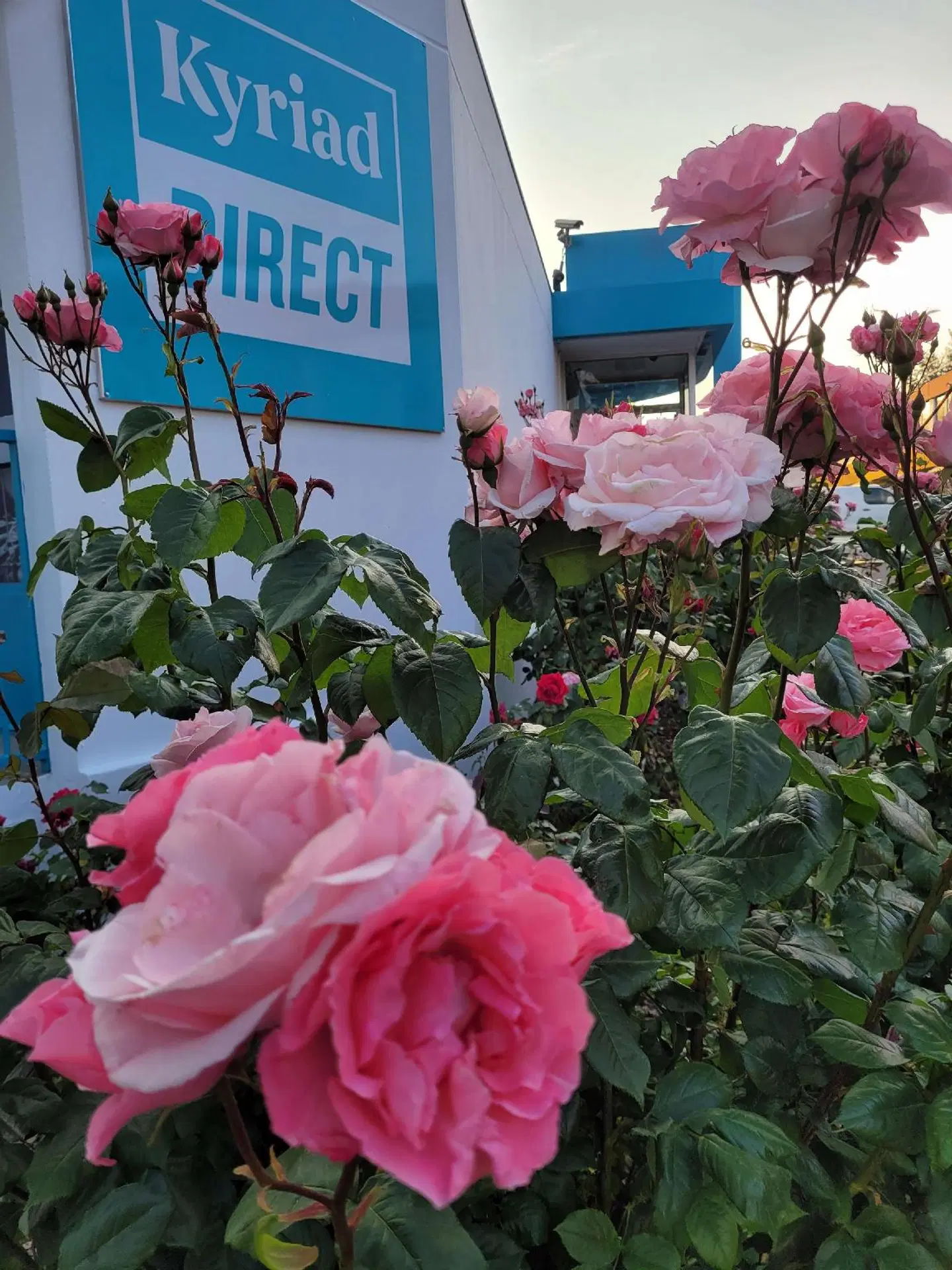 Kyriad Direct Lyon Nord - Dardilly LANDSCAPE