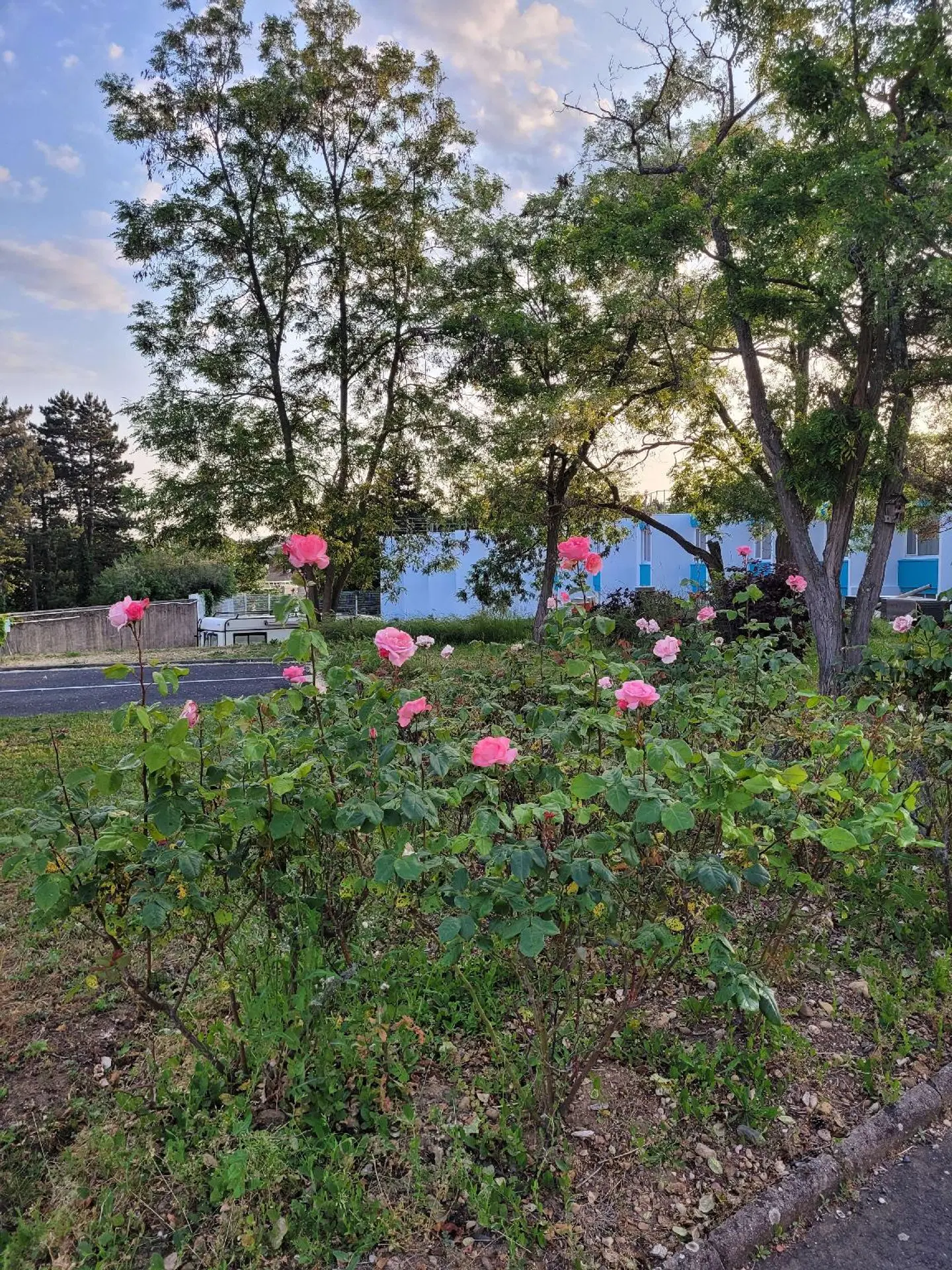 Kyriad Direct Lyon Nord - Dardilly Garten