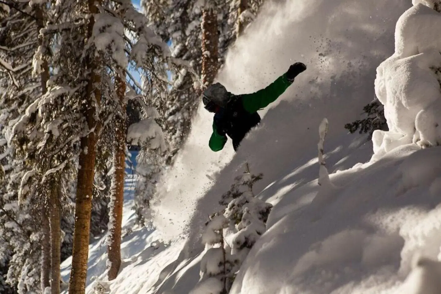 St Moritz Lodge and Condominiums LANDSCAPE