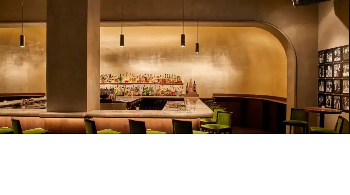 Ambassador Chicago MODEL_IMPRESSION