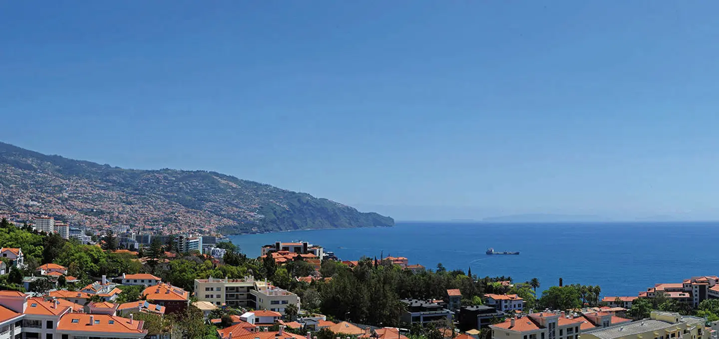 Dorisol Mimosa LANDSCAPE