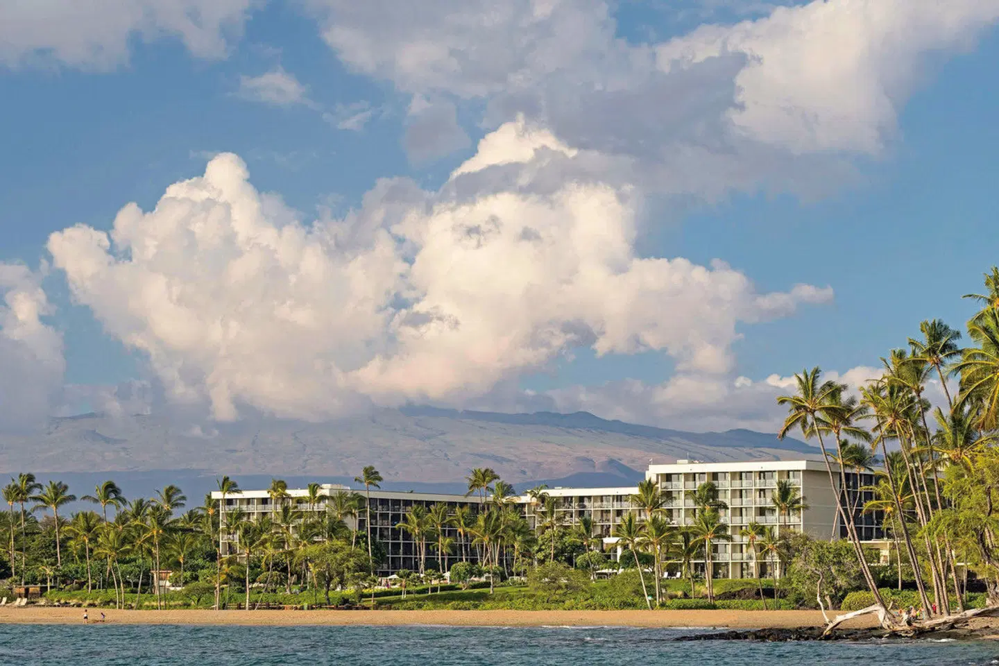 Waikoloa Beach Marriott Resort & Spa LANDSCAPE