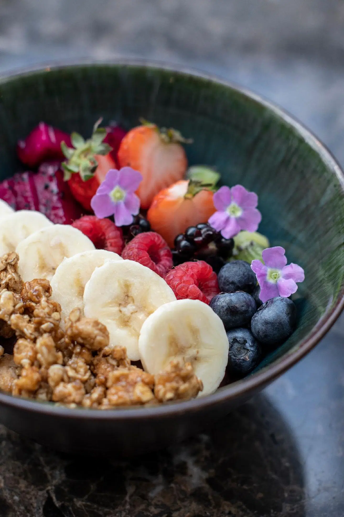 SANA Malhoa Hotel Tiere