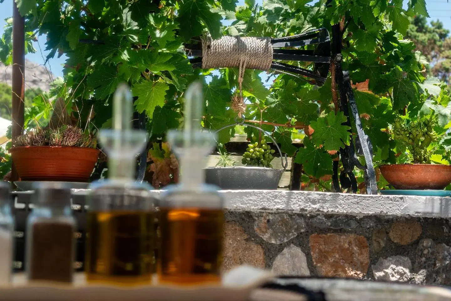 Sunshine Hotel Garten