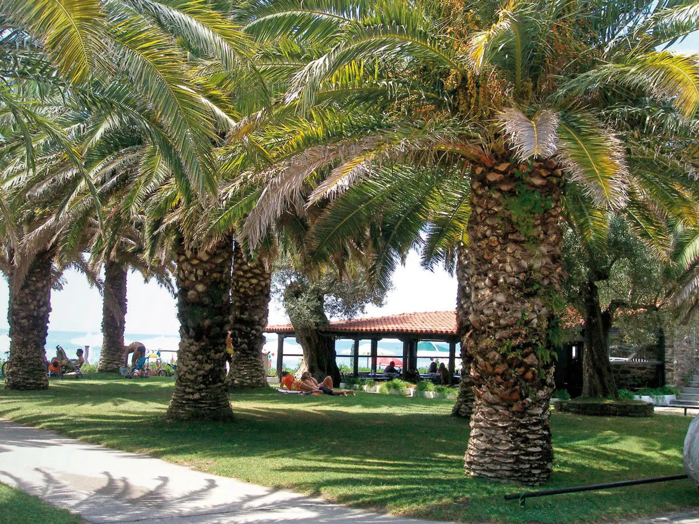 Castello Camping & Summer Resort (by Happy Camp) Garten