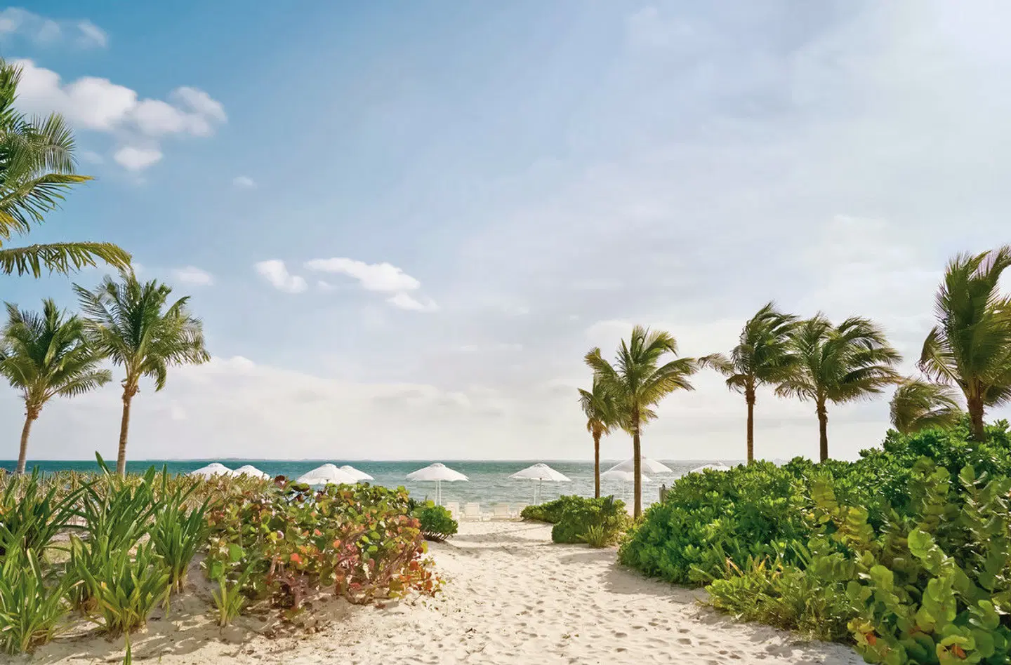 SLS Playa Mujeres LANDSCAPE