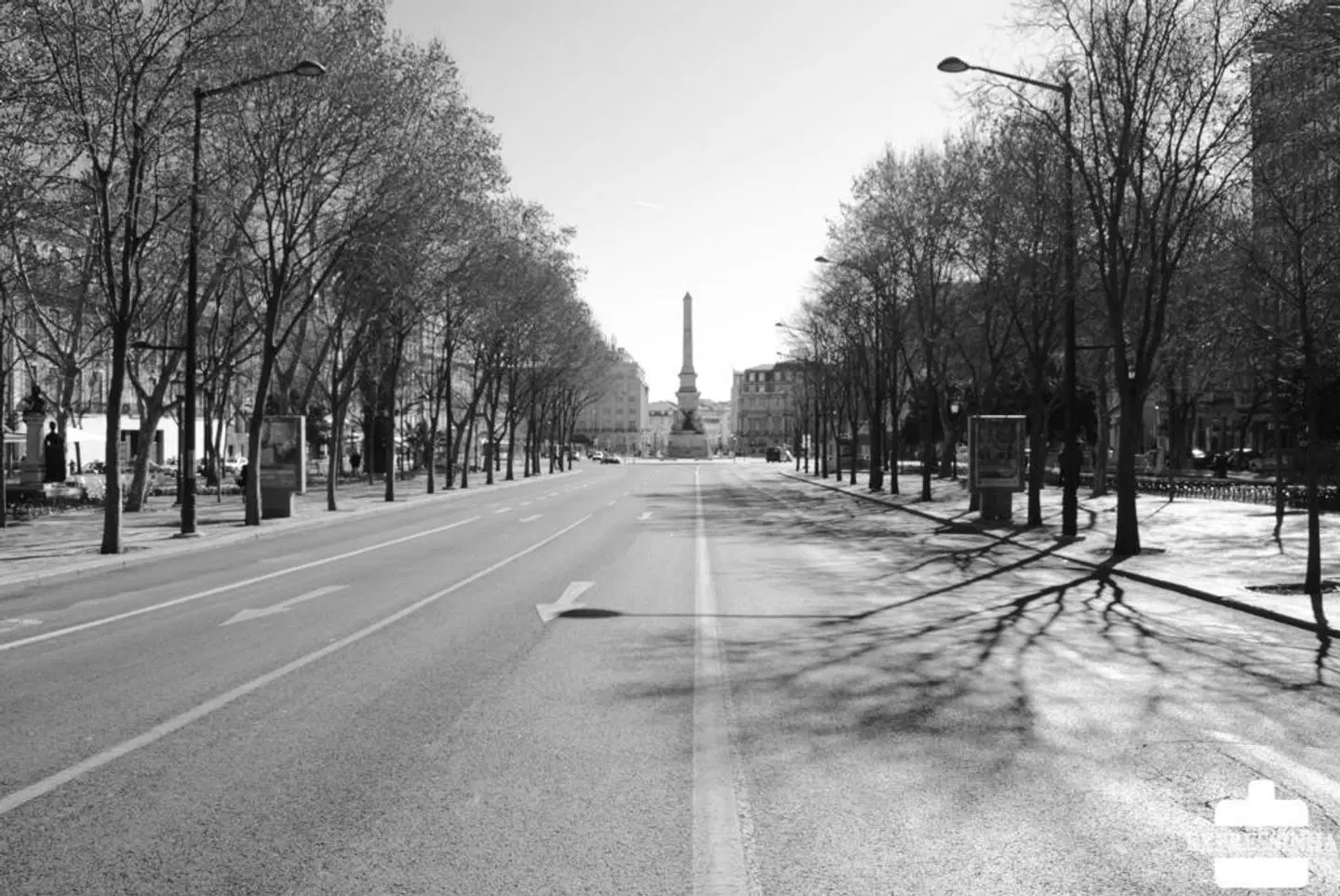 Dom Sancho I LANDSCAPE