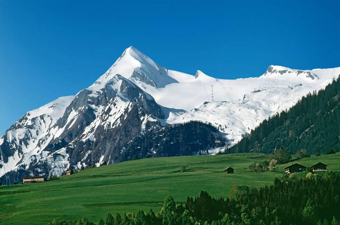 PEOPLES HOTEL LANDSCAPE
