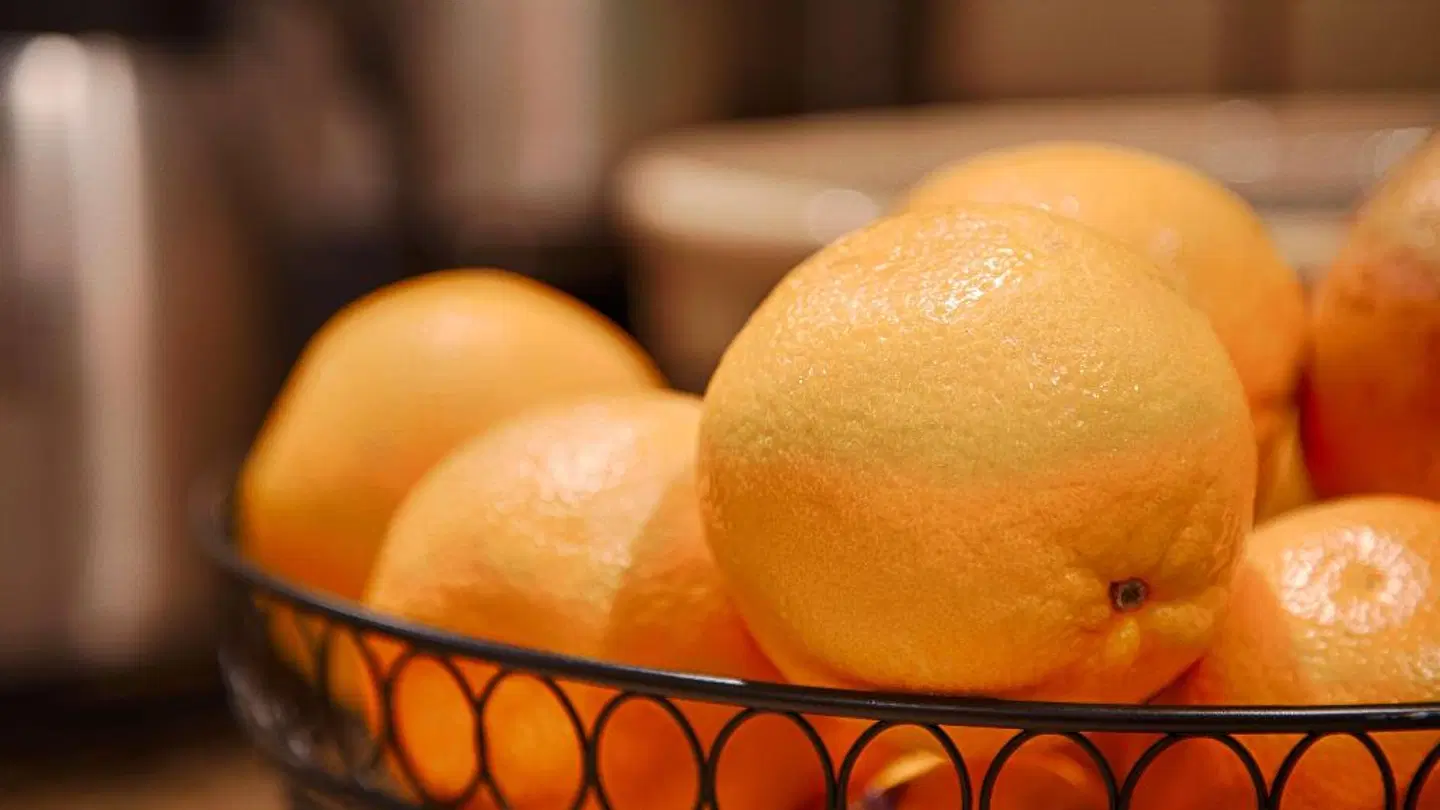 Best Western Plus Fredericksburg Konferenz