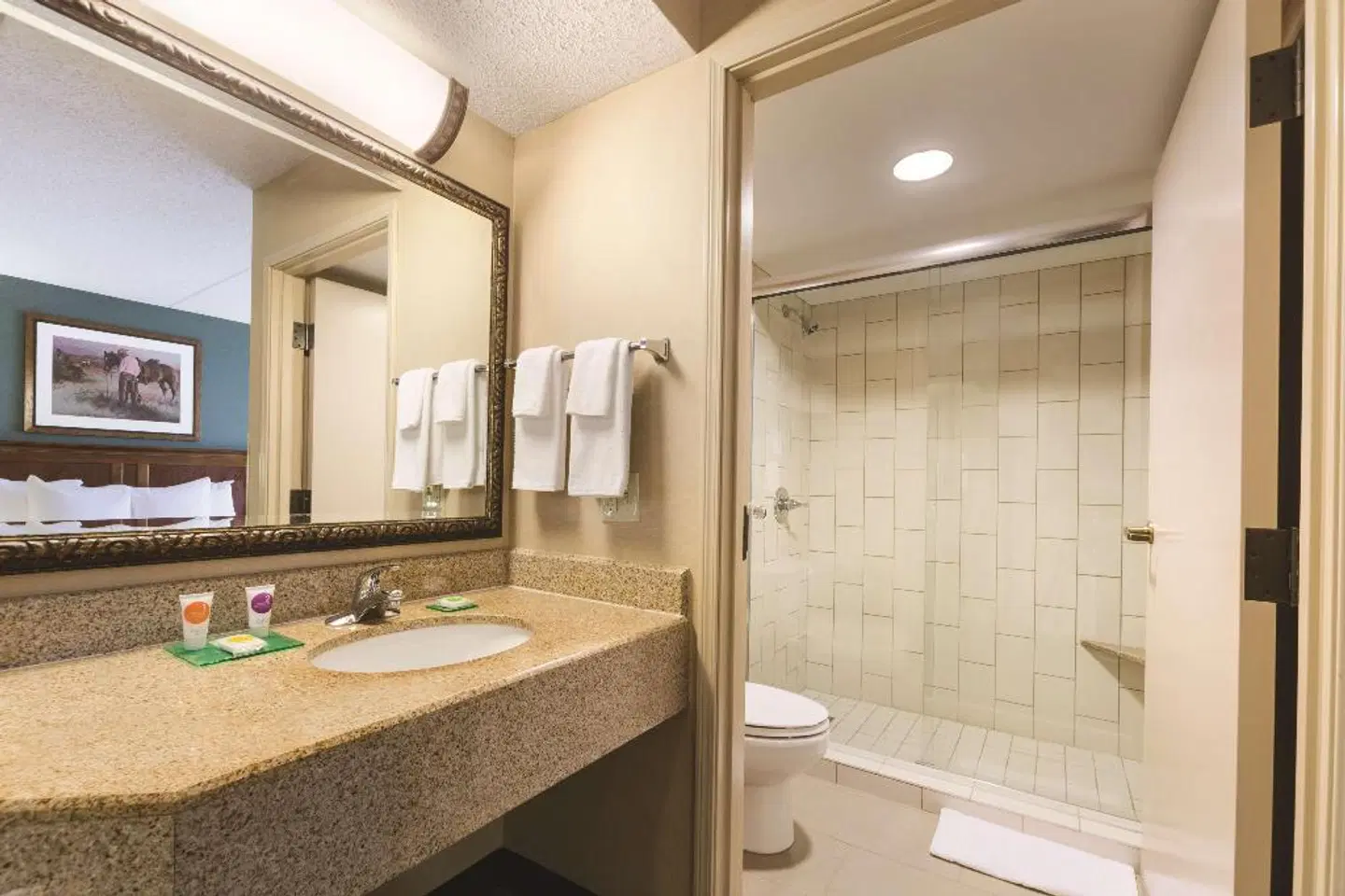 Hyatt Place Fort Worth Historic Stockyards Badezimmer