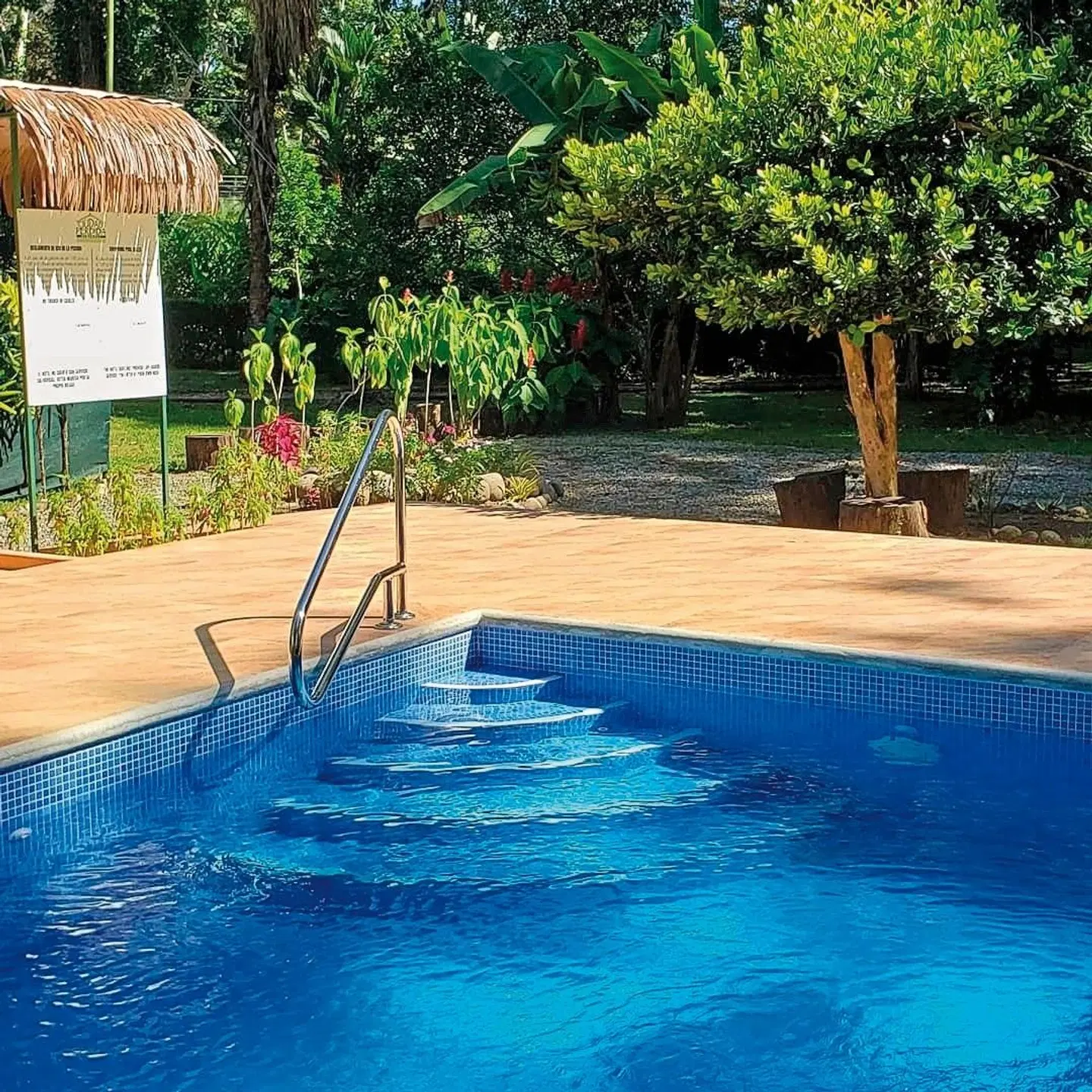 Ciudad Perdida Ecolodge OUTDOOR_POOL