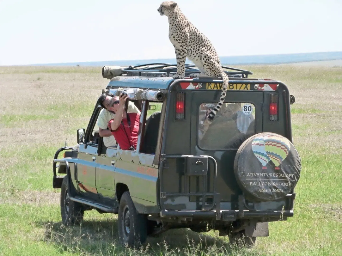 Masai Mara Fly-In Safari Superior ab/bis Nairobi SPORTS_AND_LEISURE