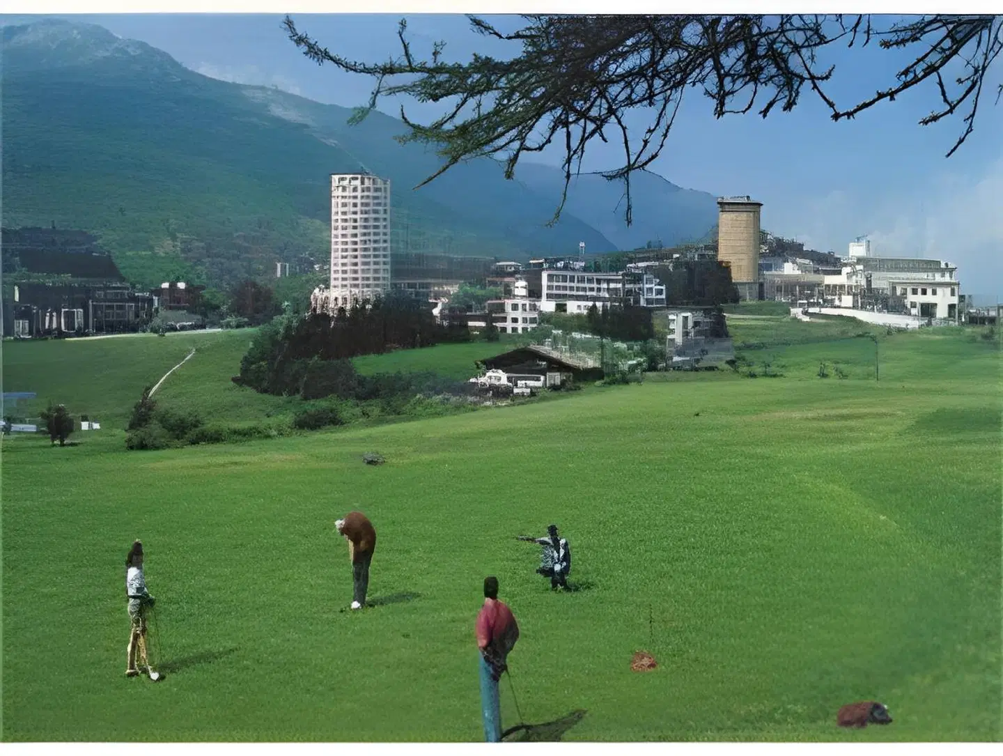 Cristallo SPORTS_AND_LEISURE