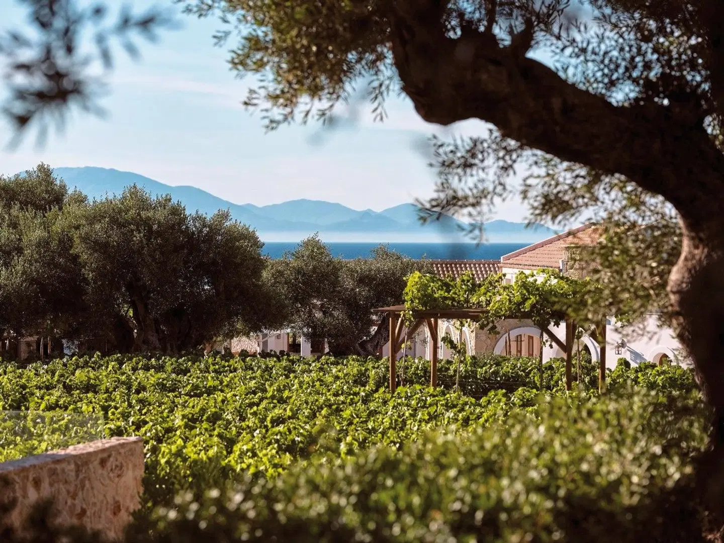 Lesante Cape - The Leading Hotels of the World Garten