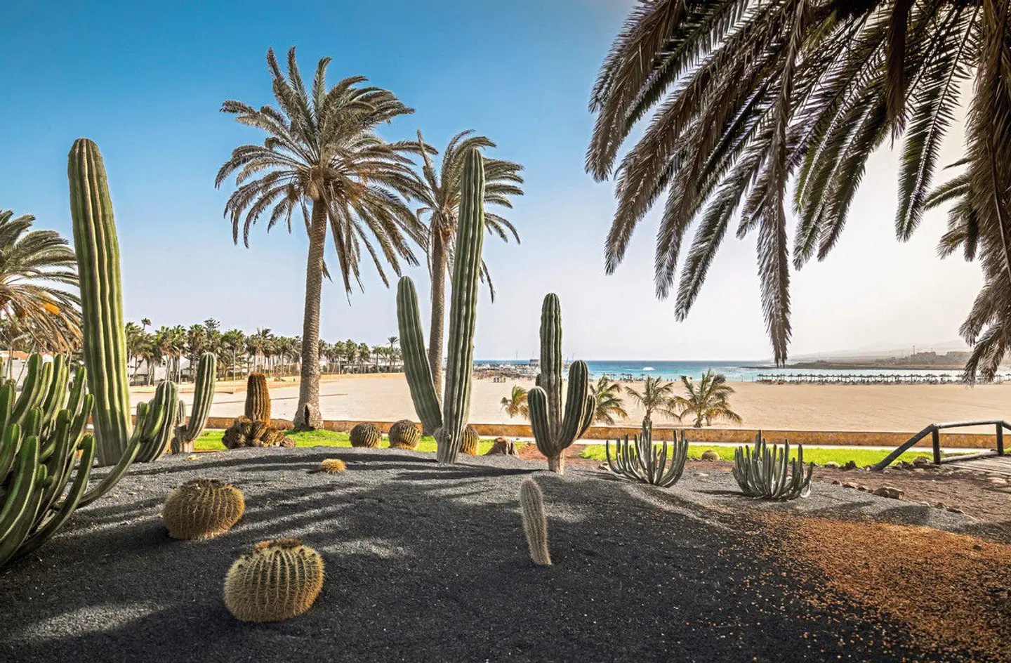 Barceló Fuerteventura Royal Level - Adults Only Garten