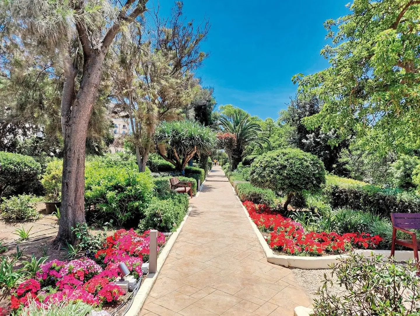 Hotel Phoenicia Garten