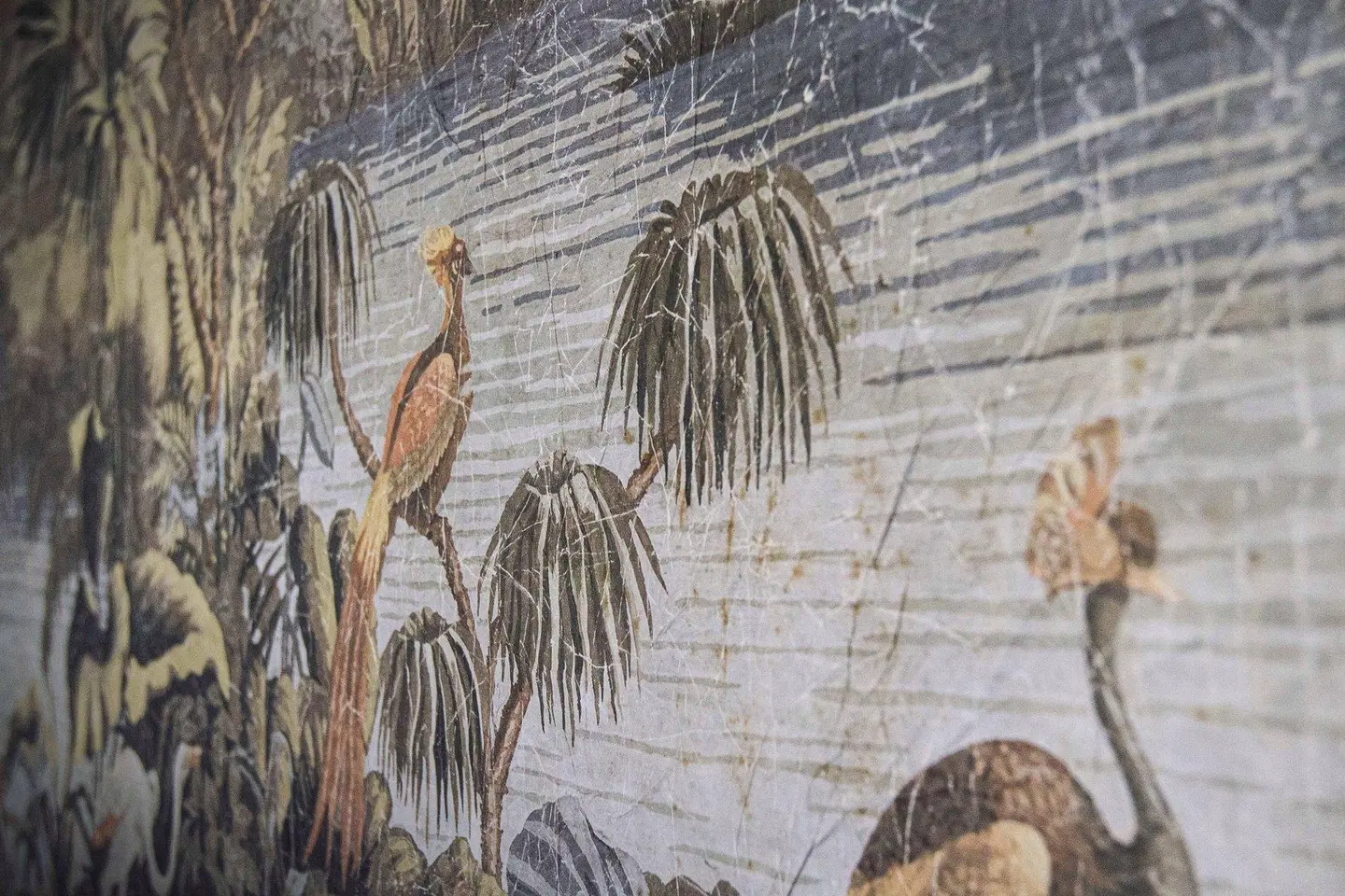 The Ivens, Autograph Collection Tiere