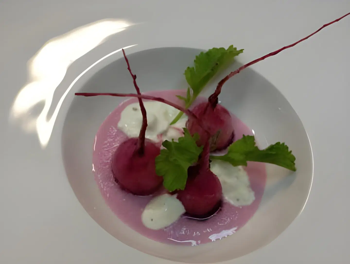 Hotel-Restaurant Dombäcker Restaurant