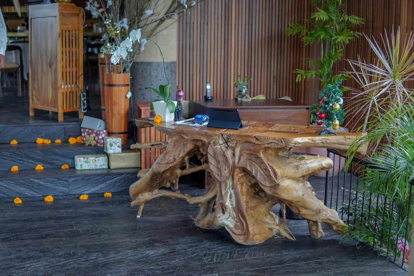 Gdas Bali Health and Wellness Resort Tiere