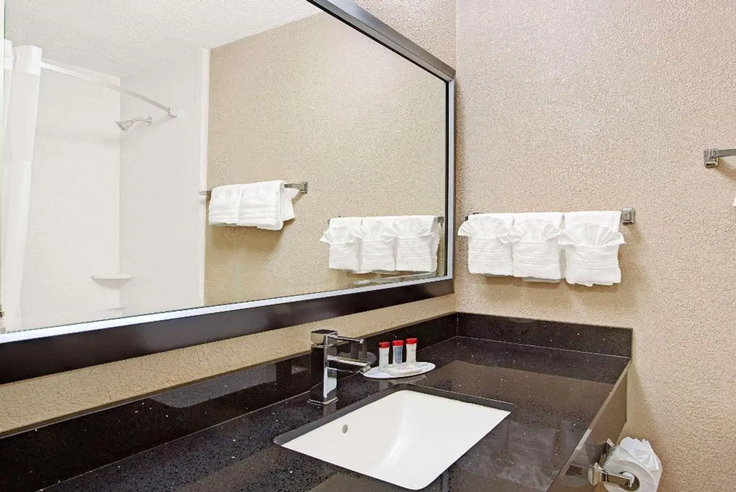 Ramada Plaza by Wyndham Charlotte Airport Conference Center Badezimmer