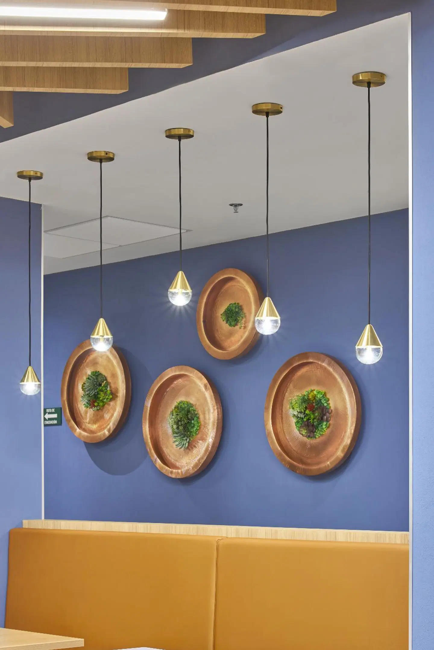 City Express Plus Cancún Aeropuerto Riviera SPORTS_AND_LEISURE