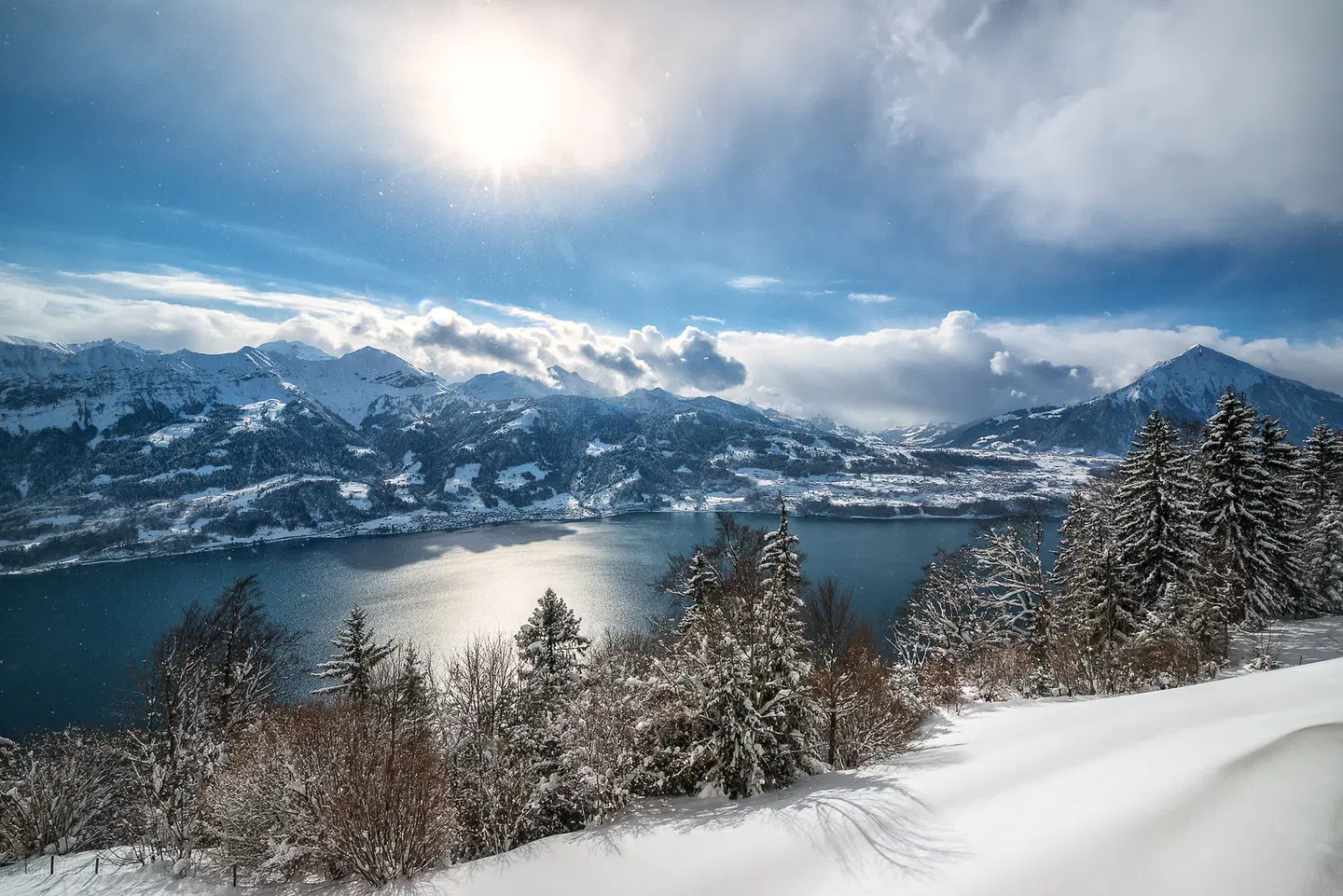 Dorint Beatenberg Blüemlisalp LANDSCAPE