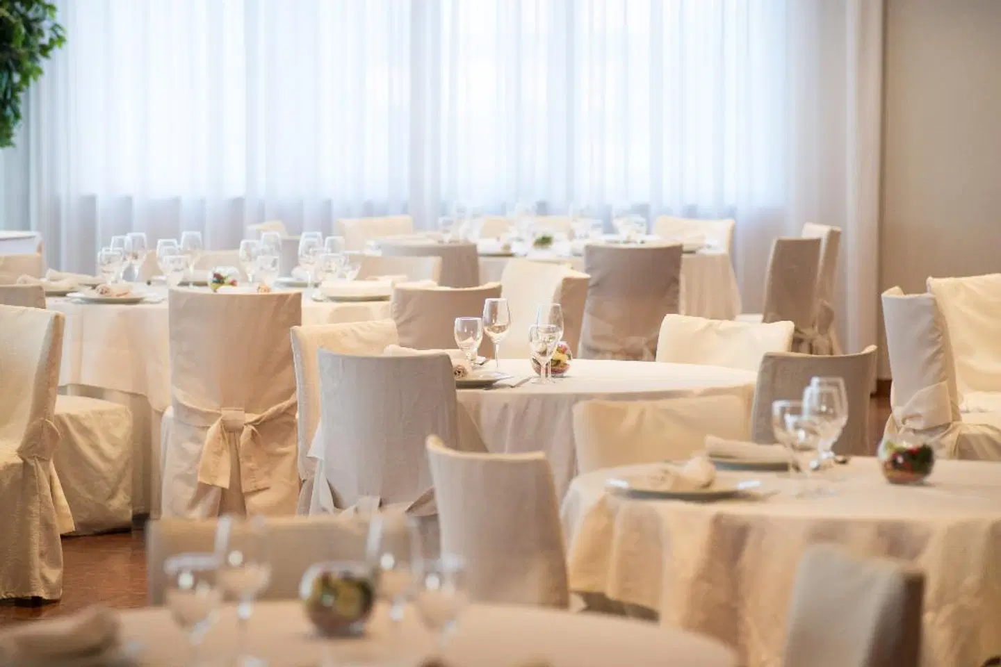 San Francesco Konferenz